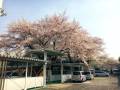 投稿ネタ画像_210323